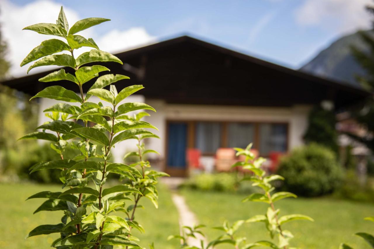 Forellenhof Appartements & Grossmutters Bungalow Leutasch Luaran gambar